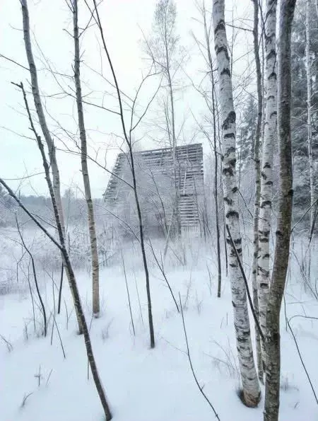 Участок в Ленинградская область, Волховский район, Кисельнинское ... - Фото 1