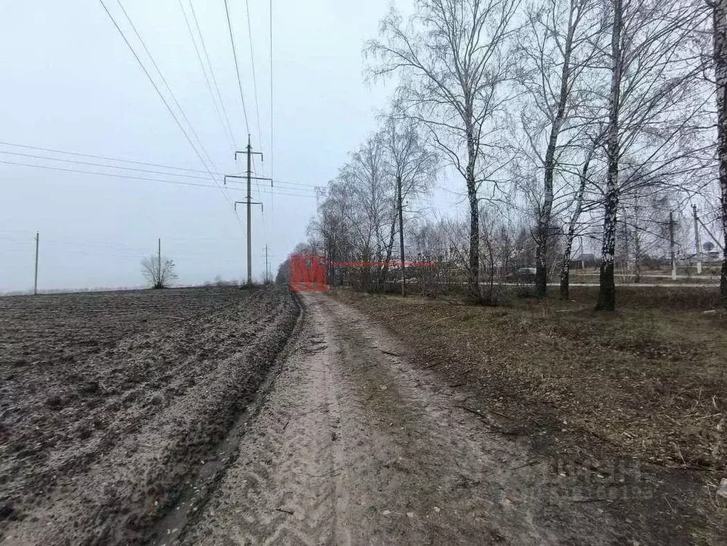 Участок в Белгородская область, Старооскольский городской округ, с. ... - Фото 1