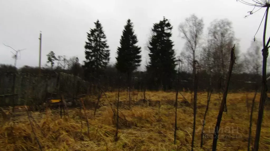 Участок в Московская область, Рузский муниципальный округ, пос. ... - Фото 2