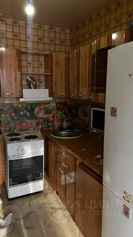 Студия Красноярский край, Красноярск ул. Курчатова, 4 (18.0 м) - Фото 1