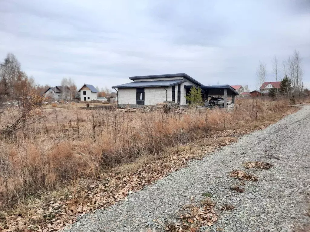 Участок в Алтайский край, Барнаул городской округ, пос. Бельмесево, ... - Фото 1