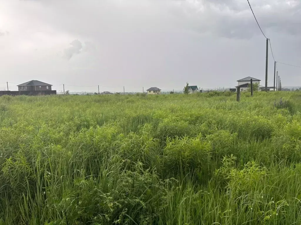 Участок в Брянская область, Брянский район, Отрадненское с/пос, с. ... - Фото 2