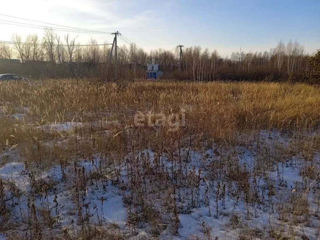 Участок в Курганская область, Шадринск ул. Коурова (10.0 сот.) - Фото 0
