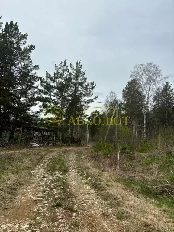 Участок в Свердловская область, Дегтярск муниципальный округ, пос. ... - Фото 0