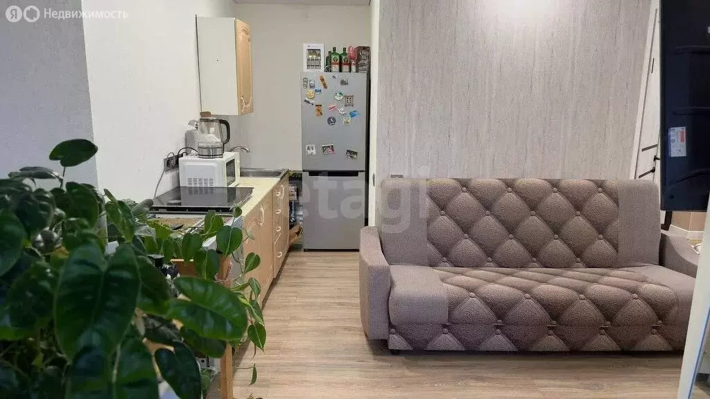 Квартира-студия: село Раздольное, Берёзовая улица, 10 (22.4 м) - Фото 1