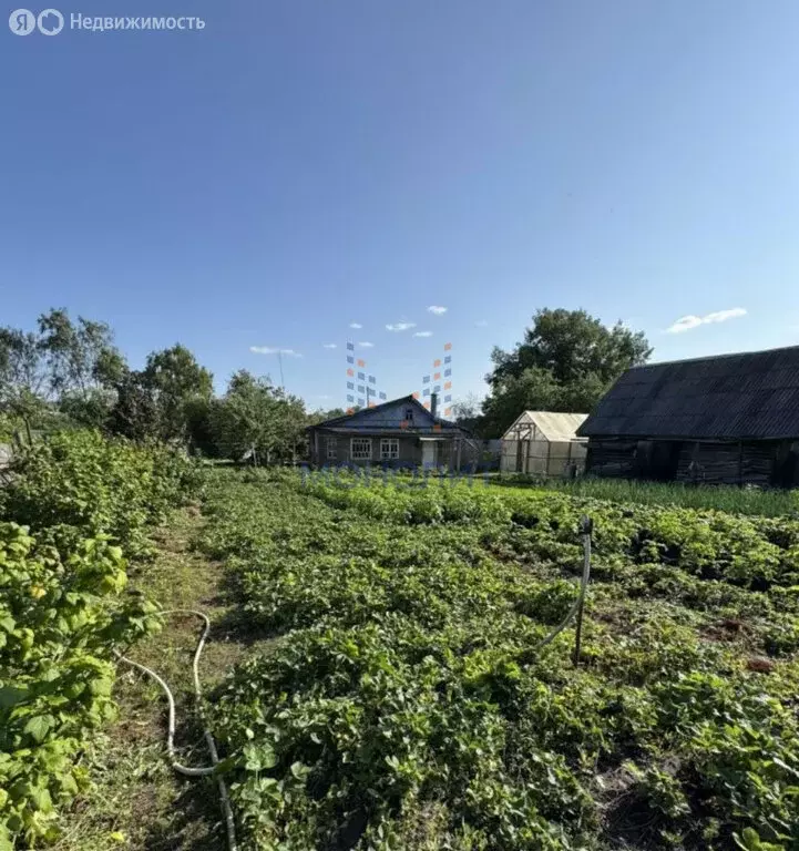 Участок в Петрово-Дальнее, Садовая улица (24.6 м) - Фото 1