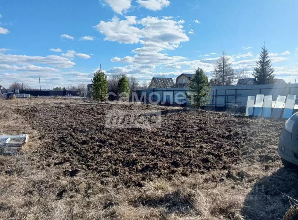Участок в Тюменская область, Тюменский муниципальный округ, Нива СНТ ... - Фото 1