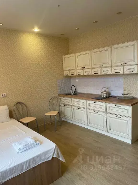 1-к кв. Новосибирская область, Новосибирск ул. Михаила Кулагина, 31 ... - Фото 1