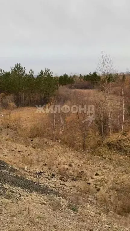 Участок в Забайкальский край, Читинский район, пос. Лесной Городок  ... - Фото 0