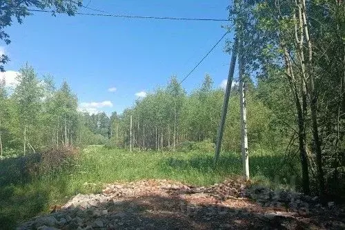 Участок в Новгородская область, Новгородский район, Савинское с/пос, ... - Фото 0