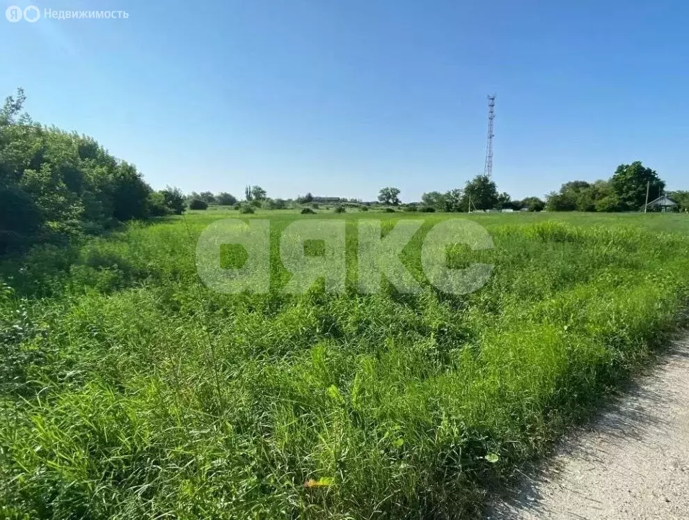 Участок в Дядьковская, улица Зелёно-Луговая, 4 (21.9 м) - Фото 0