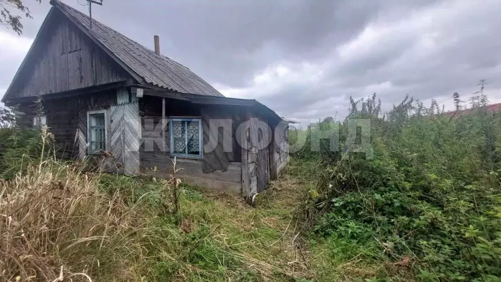 Дом в Новосибирская область, Новосибирский район, с. Криводановка ул. ... - Фото 2