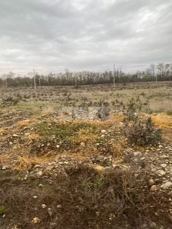 Участок в Адыгея, Майкоп городской округ, пос. Западный ул. Полевая ... - Фото 0