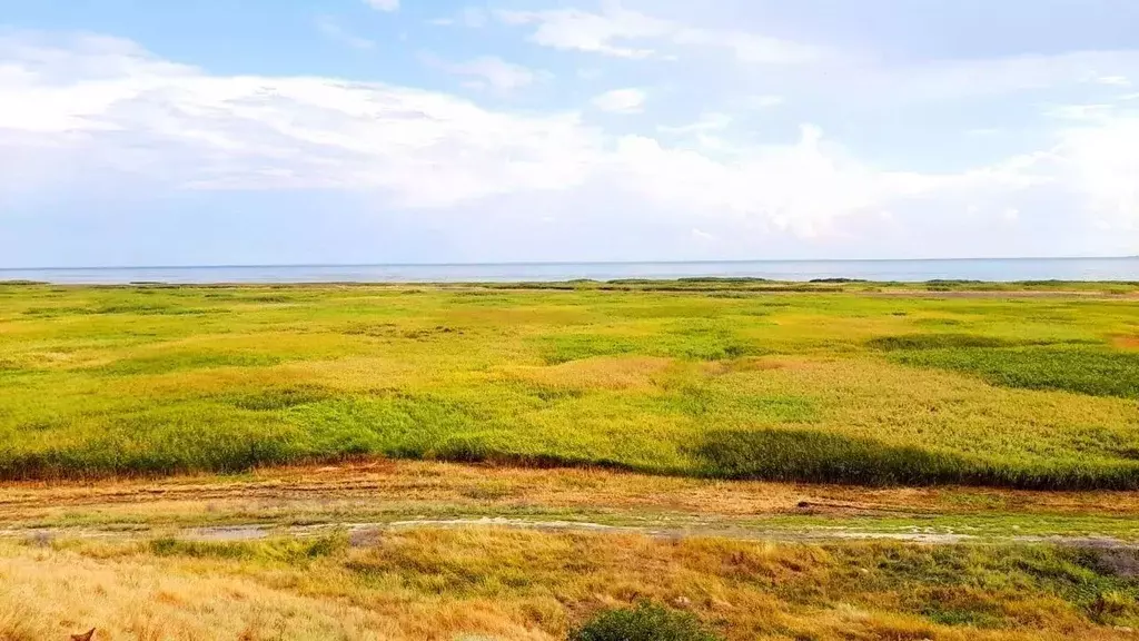 дом в ростовская область, неклиновский район, с. новобессергеневка ул. . - Фото 0