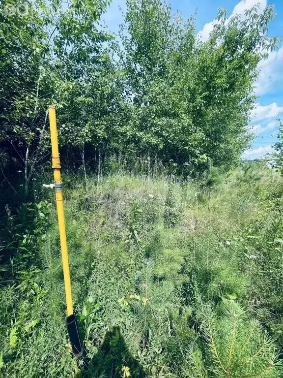 Участок в Талица, Малиновая улица (1104 м) - Фото 0
