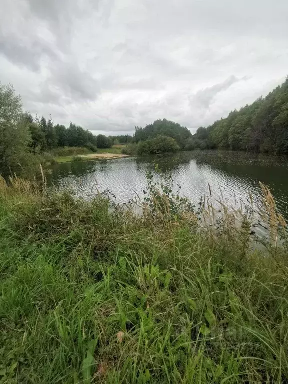 Участок в Нижегородская область, Богородский муниципальный округ, д. ... - Фото 1