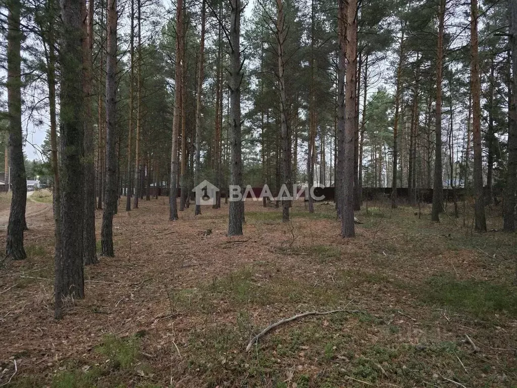 Участок в Владимирская область, Судогодский район, Вяткинское ... - Фото 1