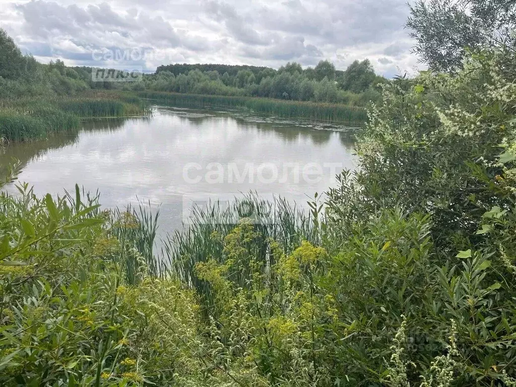 Участок в Московская область, Чехов городской округ, д. Пешково  (11.0 ... - Фото 1