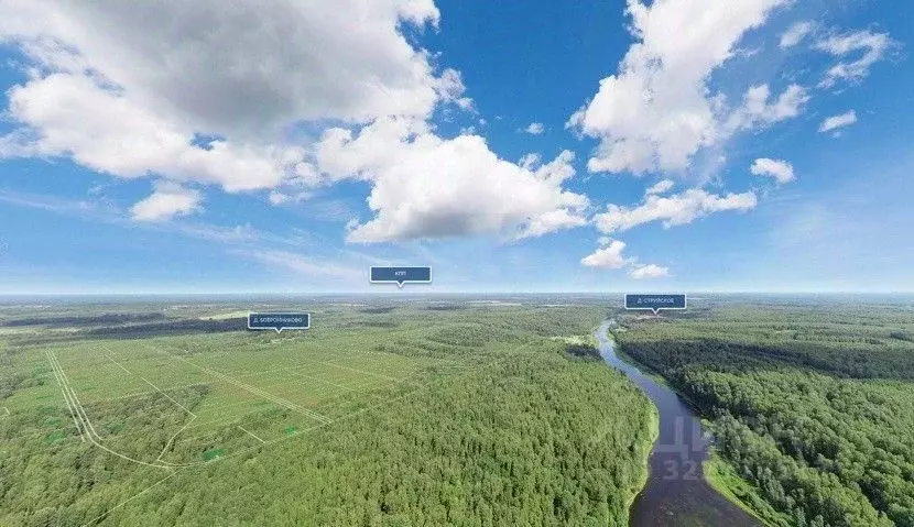 Участок в Тверская область, Ржевский муниципальный округ, д. ... - Фото 2