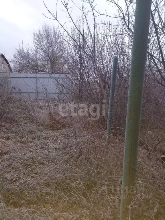 Участок в Воронежская область, с. Новая Усмань ул. Освобождения (12.0 ... - Фото 0