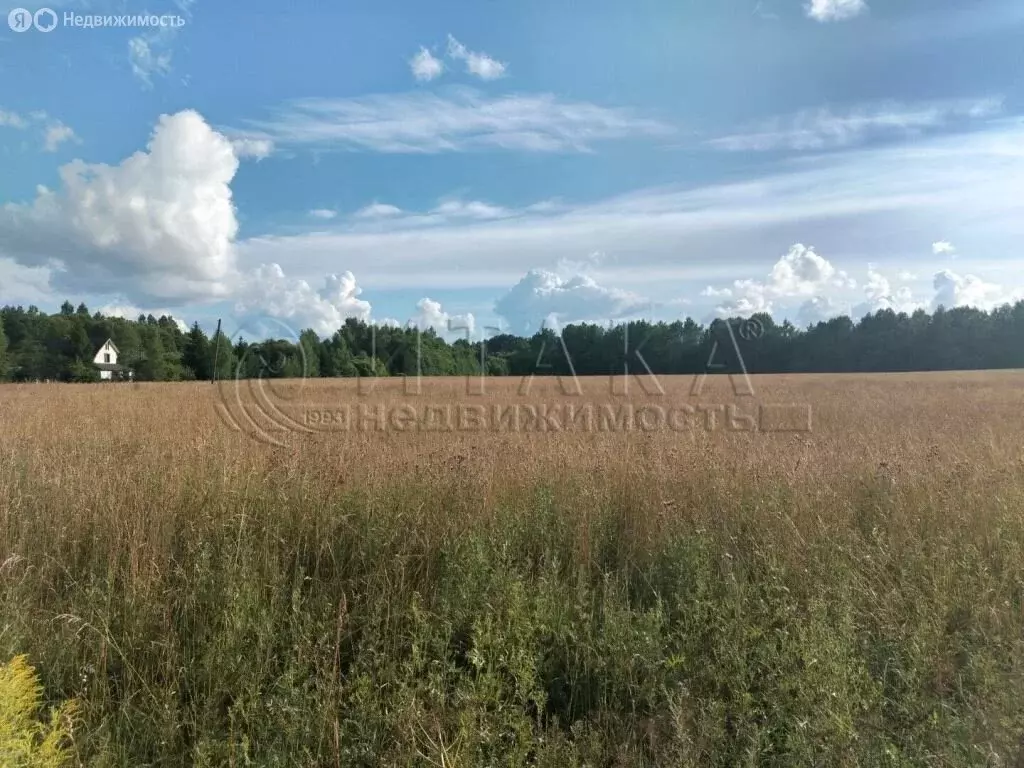 Участок в Заклинское сельское поселение, деревня Колодно (5.05 м) - Фото 2