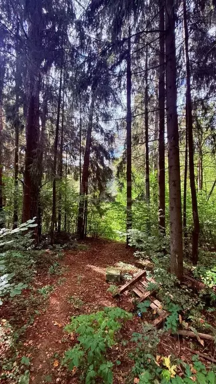 Участок в Москва Сосенки коллектив индивидуальных застройщиков,  (6.84 ... - Фото 2