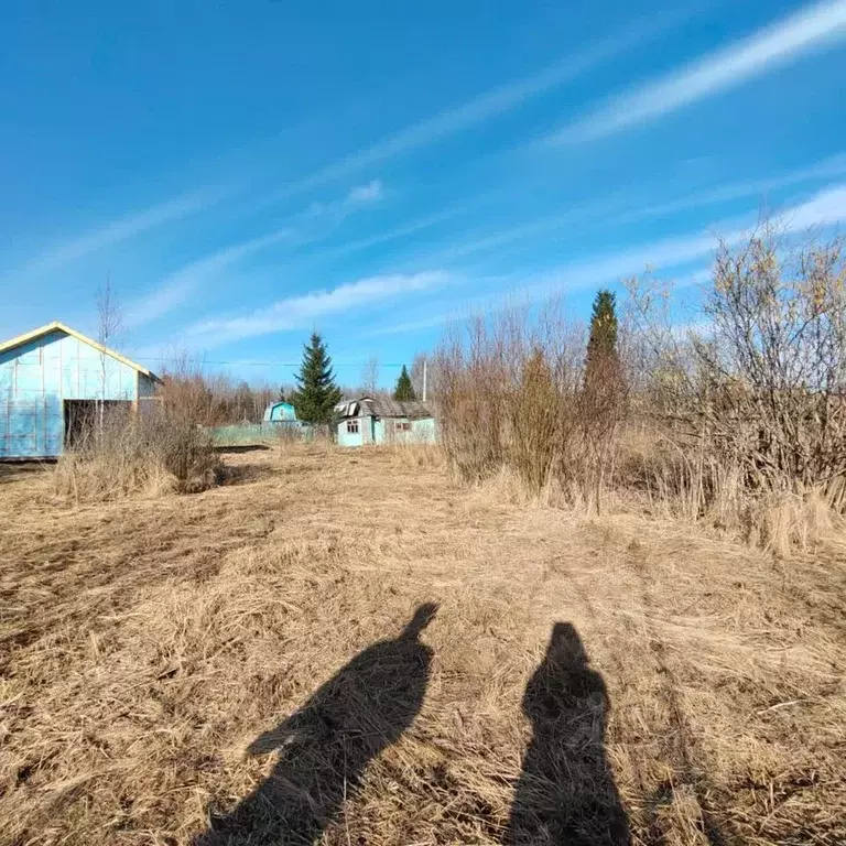 Участок в Вологодская область, Подшипник садоводческое товарищество ... - Фото 2