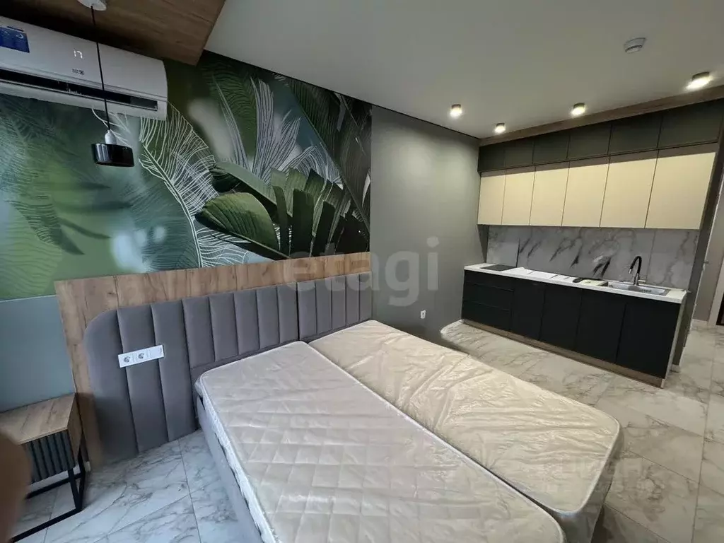 Студия Краснодарский край, Анапа муниципальный округ, с. Витязево ул. ... - Фото 1