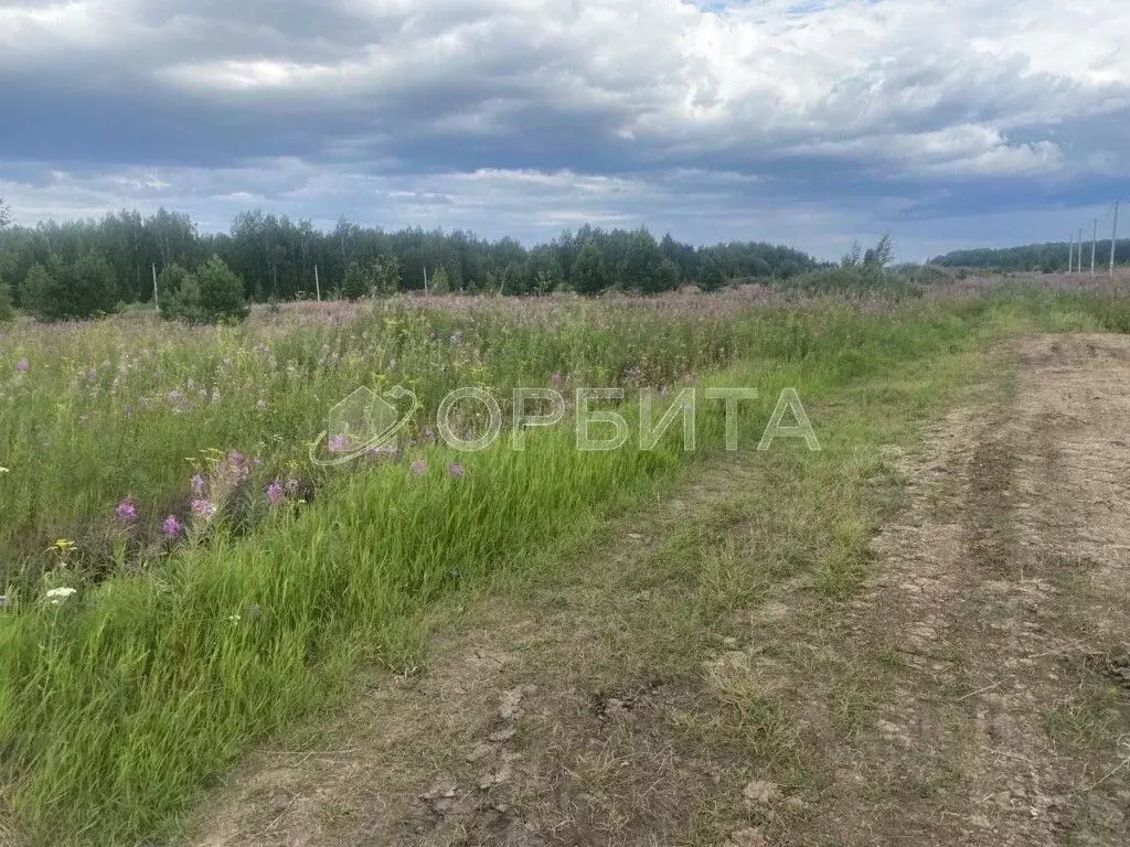 Участок в Тюменская область, Тюменский район, с. Кулига, Кулига-2 мкр  ... - Фото 0
