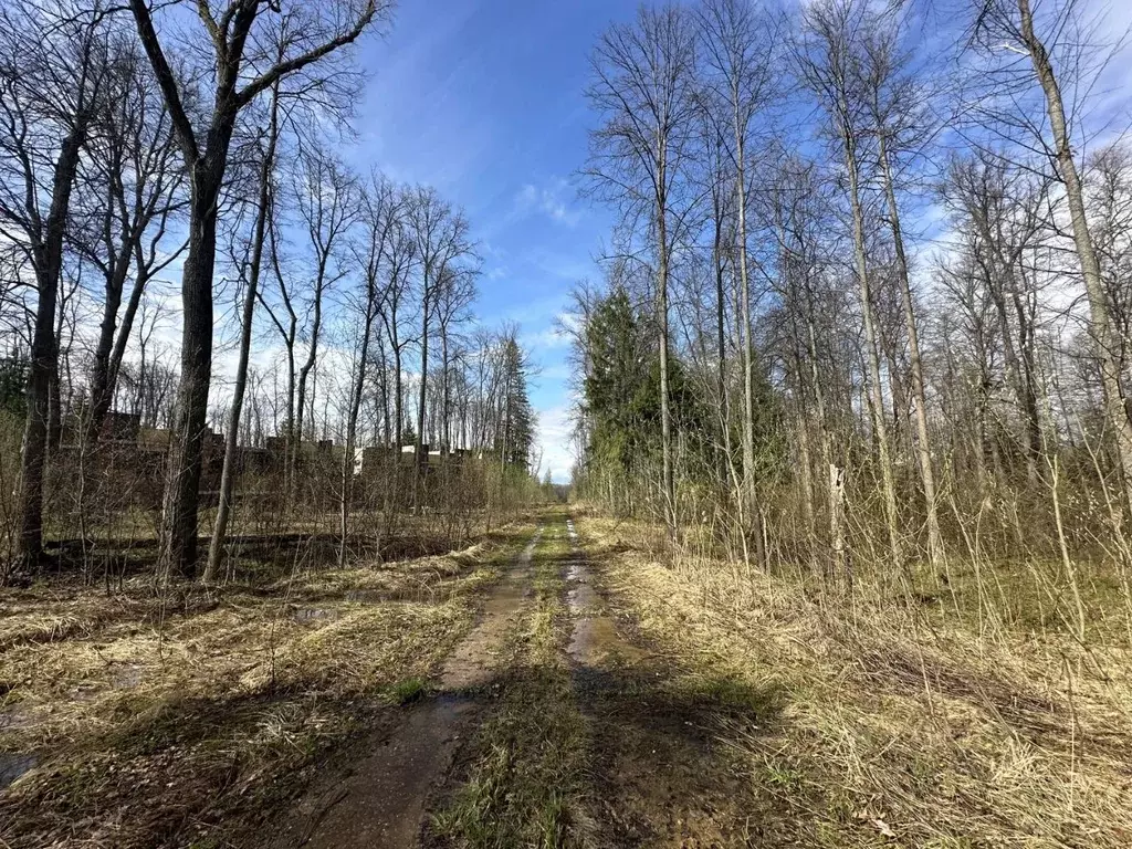 Участок в Московская область, Чехов городской округ, д. Прохорово, ... - Фото 0