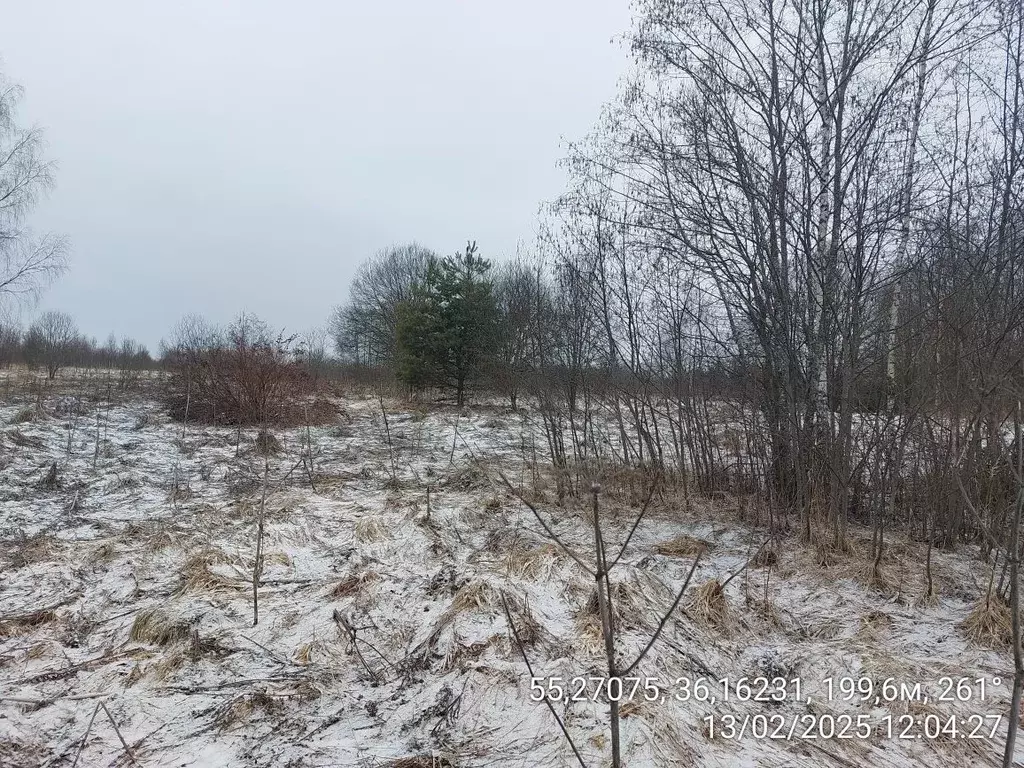 Участок в Московская область, Наро-Фоминский городской округ, д. ... - Фото 1
