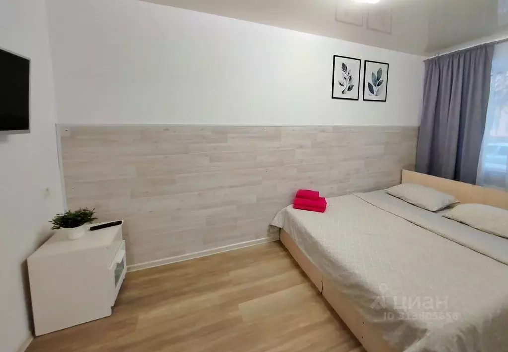 Студия Московская область, Подольск ул. Кирова, 68 (24.0 м) - Фото 1