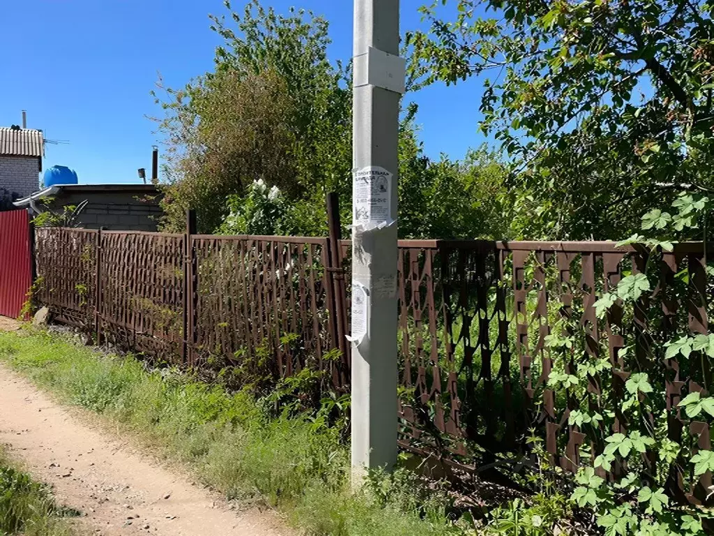 Участок в Волгоградская область, Волжский Заканалье СНТ, ул. 6-я, 31 ... - Фото 1