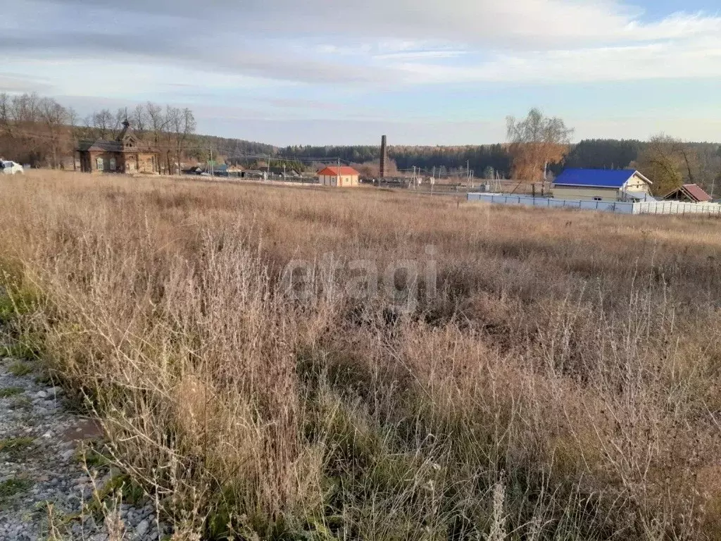 Участок в Татарстан, Менделеевский район, Монашевское с/пос, с. Новый ... - Фото 2