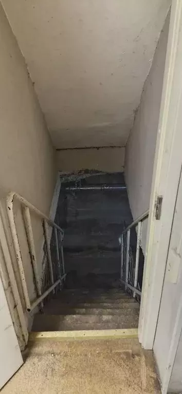 Помещение свободного назначения в Санкт-Петербург Московский просп., ... - Фото 2