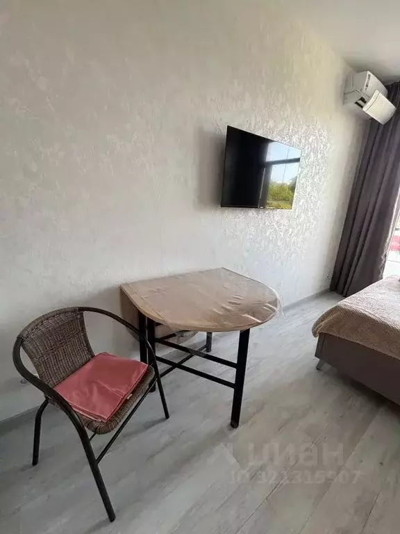 Студия Краснодарский край, Сочи ул. Ленина, 290/7к3 (23.0 м) - Фото 2