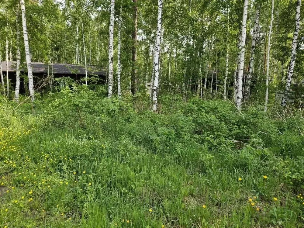 Участок в Иркутская область, Иркутский муниципальный округ, Падь ... - Фото 0