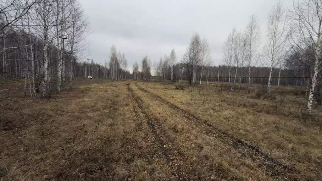 Участок в Челябинская область, Аргаяшский муниципальный округ, д. ... - Фото 2