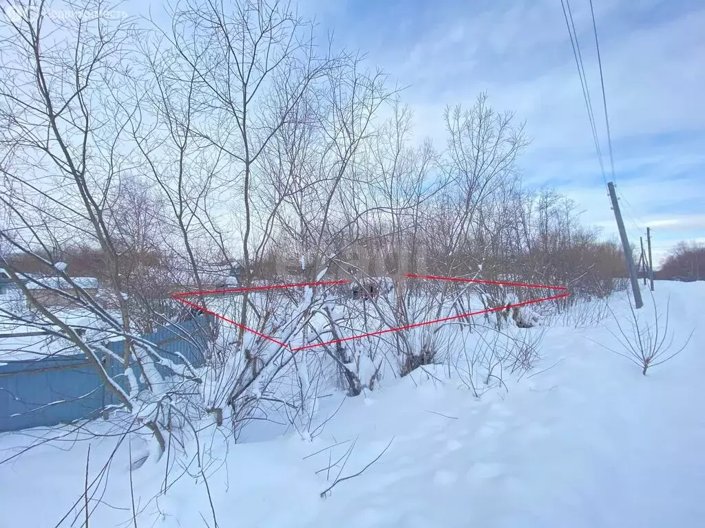 Участок в Камчатский край, Елизовский муниципальный округ, СНТ Мираж ... - Фото 2