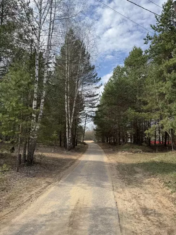 Участок в Нижегородская область, Бор городской округ, д. Рябинки  (7.5 ... - Фото 1