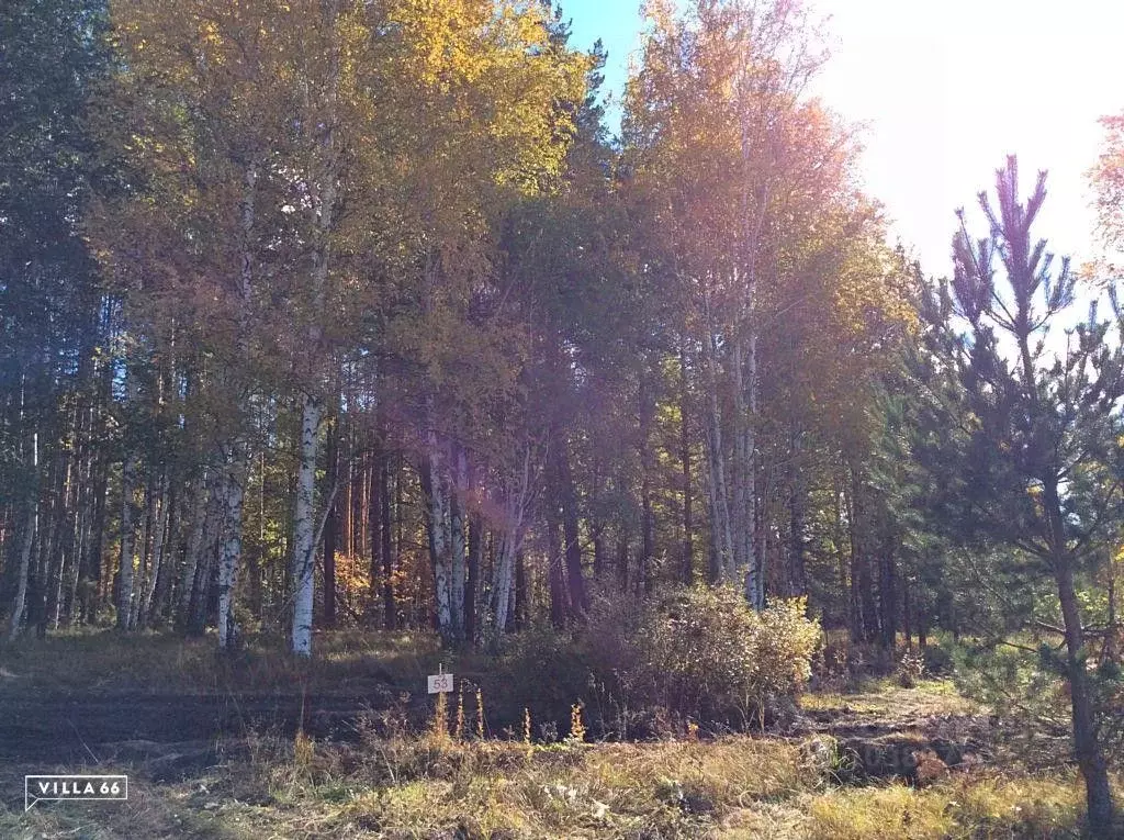 Участок в Свердловская область, Сысертский городской округ, пос. ... - Фото 0