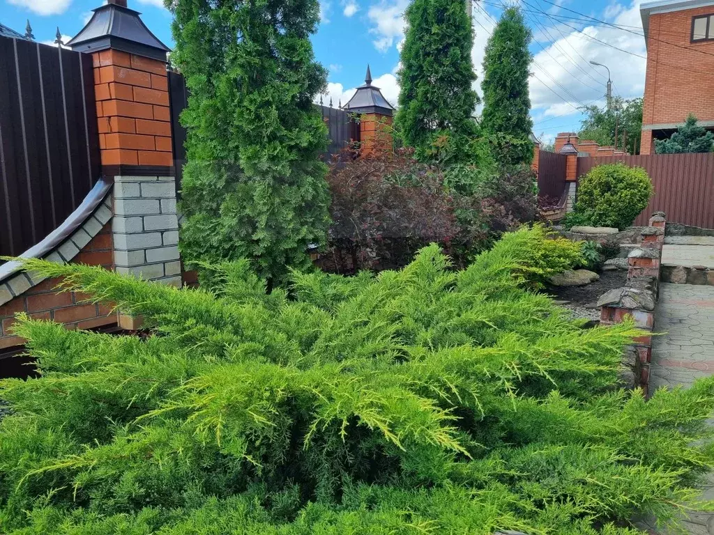 Дом в Адыгея, Майкоп Кооперативная ул. (300 м) - Фото 2