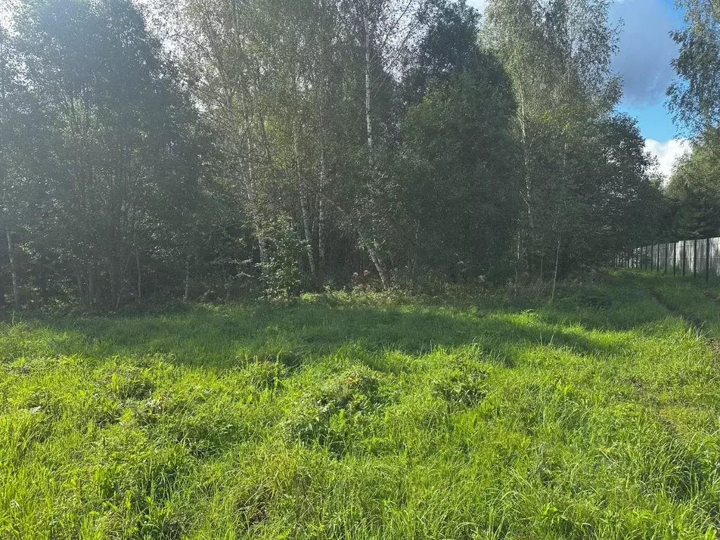 Участок в Московская область, Мытищи городской округ, д. Еремино ул. ... - Фото 2