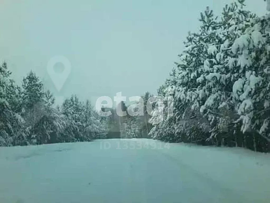 Погода в ларичихе алтайского края