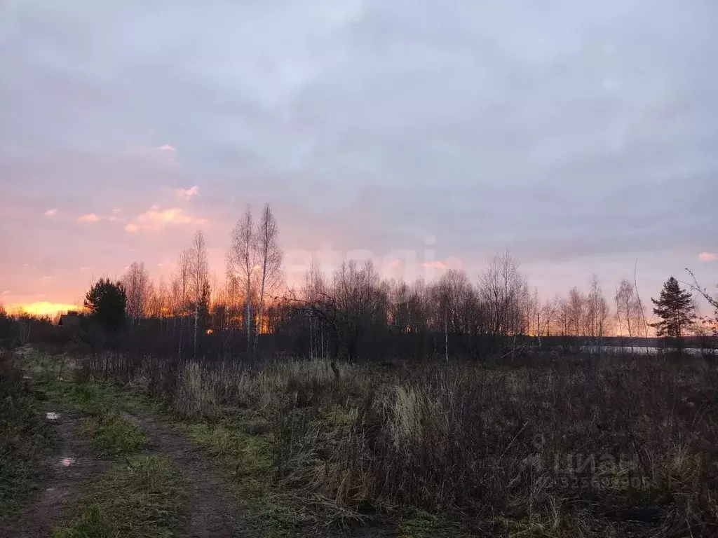 Участок в Нижегородская область, Городецкий муниципальный округ, д. ... - Фото 2
