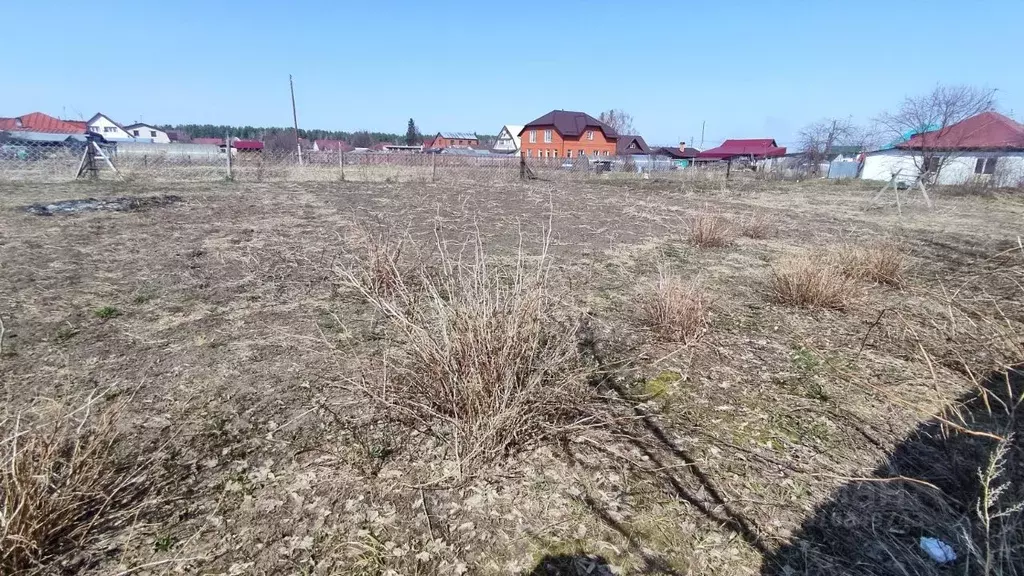 Участок в Алтайский край, Барнаул городской округ, с. Лебяжье ул. ... - Фото 1