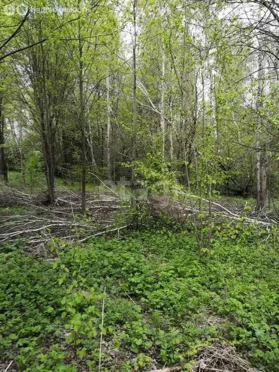 Участок в муниципальное образование Малаховское, деревня Азаровка (21 ... - Фото 1