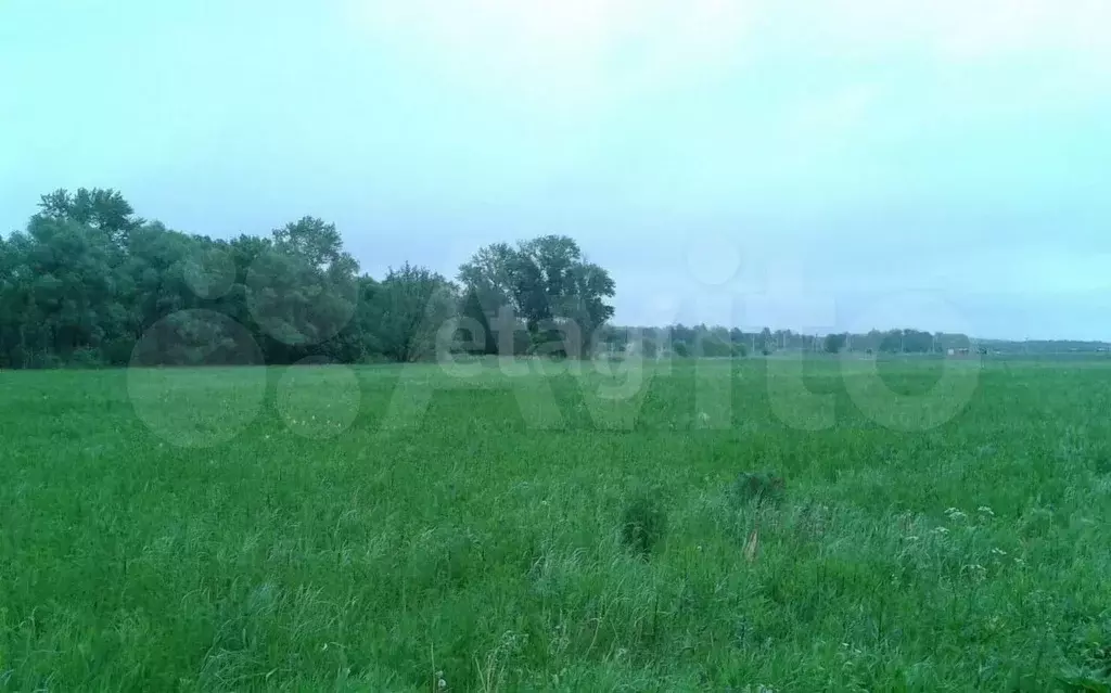 Участок 26,8 сот. (личное подсобное хозяйство (лпх)) - Фото 0