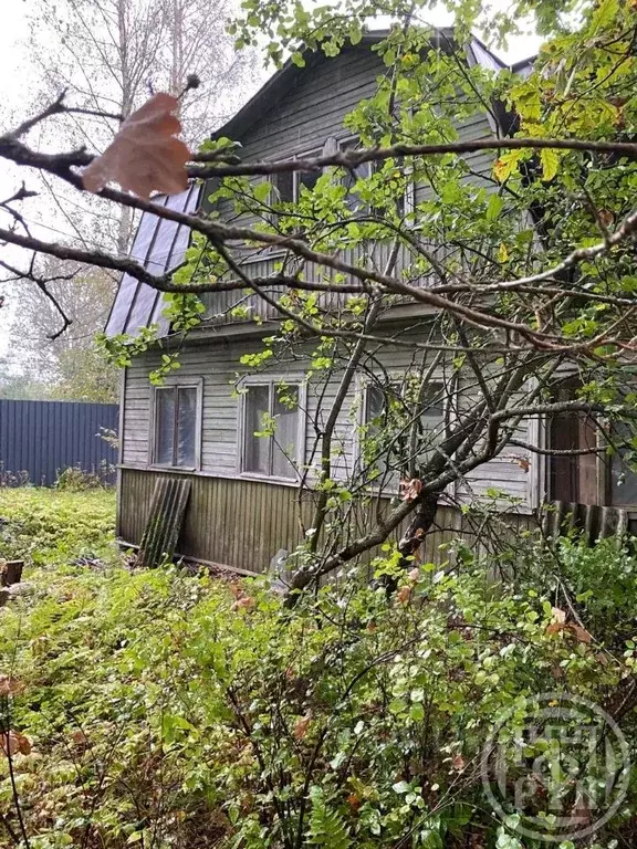 Участок в Ленинградская область, Всеволожский район, Сертоловское ... - Фото 2