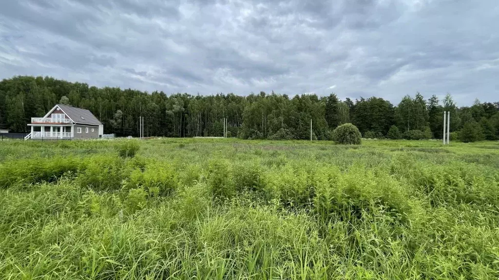 Участок в Московская область, Раменский городской округ, Елкино кп  ... - Фото 0